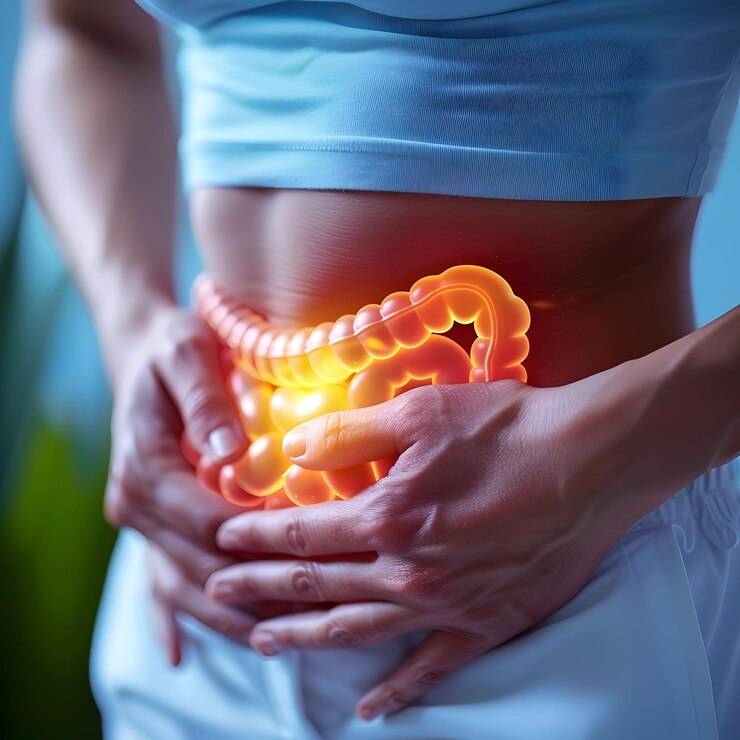 appendix